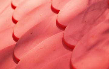 Leeholme plastic roof costs